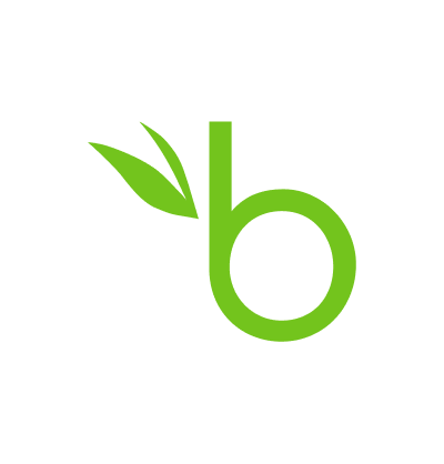 bamboohr